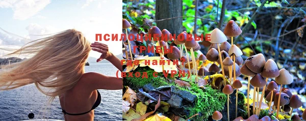 метадон Аркадак