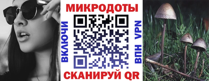 продажа наркотиков Верхняя Тура Псилоцибиновые грибы Magic Shrooms